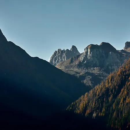 Voss Haus- Freiraum *