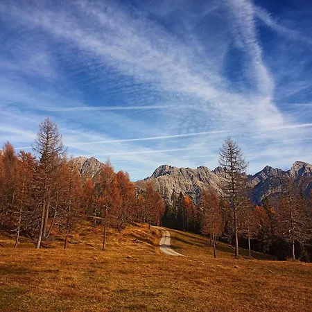 Apartment Voss Haus- Freiraum *