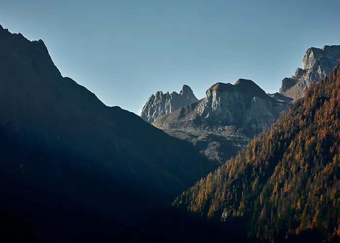 Voss Haus- Freiraum *